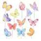 Colorful Butterfly Cupcake 24 PCS