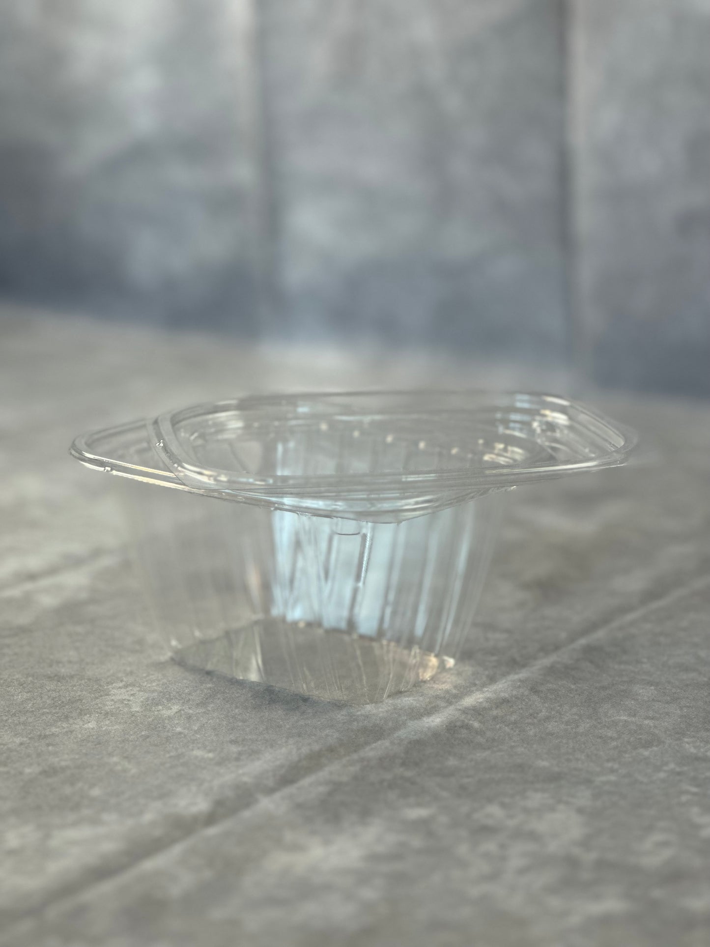 16 oz Clear Plastic Container with Lid - 250 Pieces