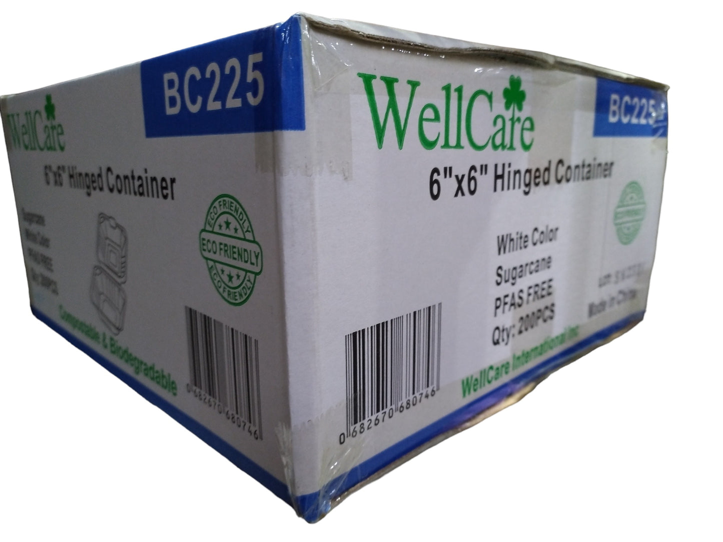 WellCare 6x6 Hinged Containers 200 PC