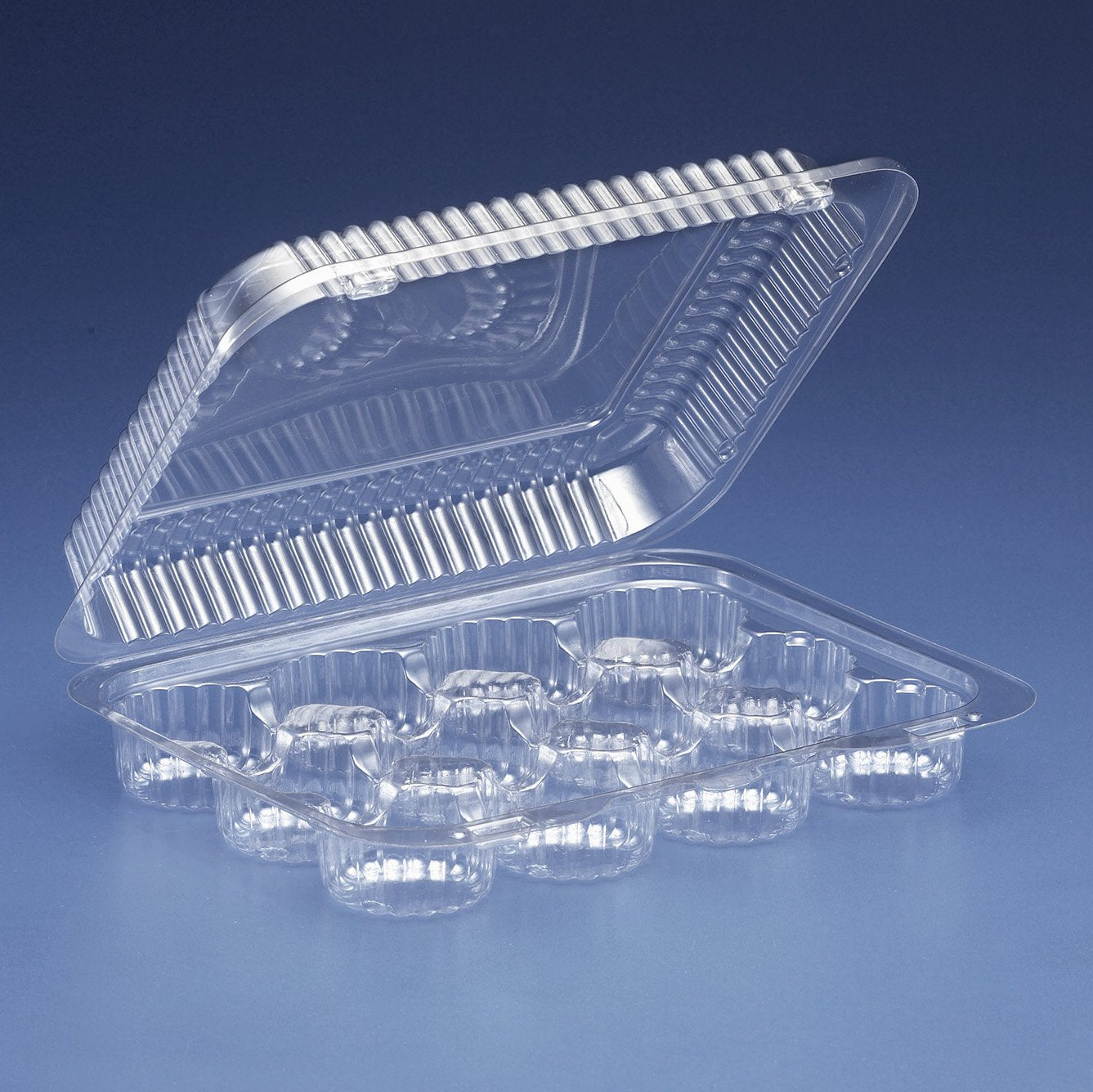 Multiple Cavity Clear Hinged Tray