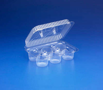 6 Cavity Clear Hinged Tray SLP46