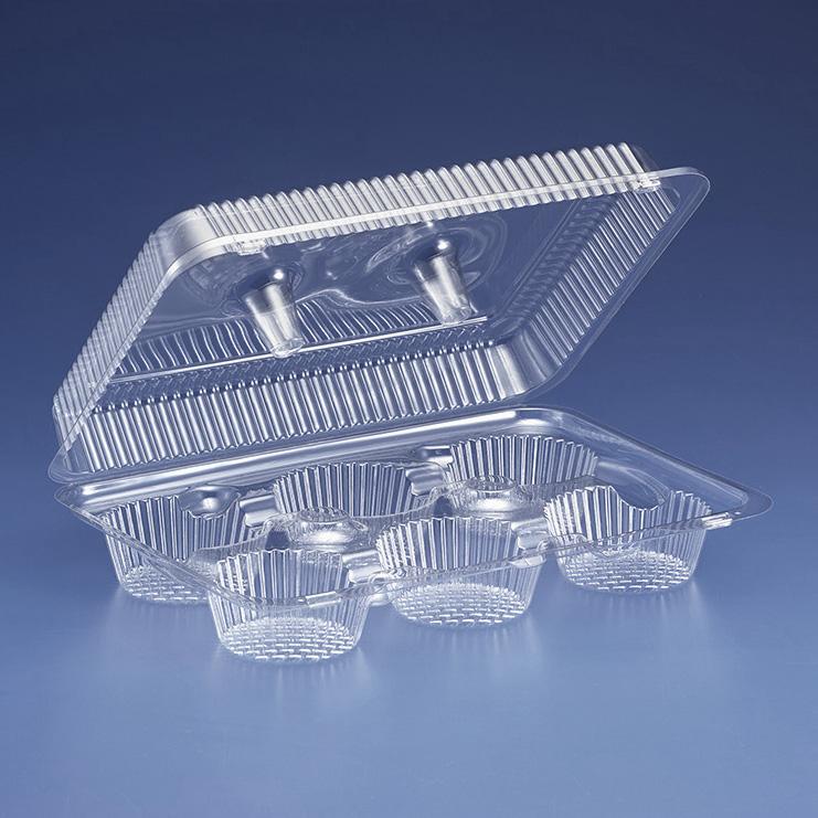 Multiple Cavity Clear Hinged Tray