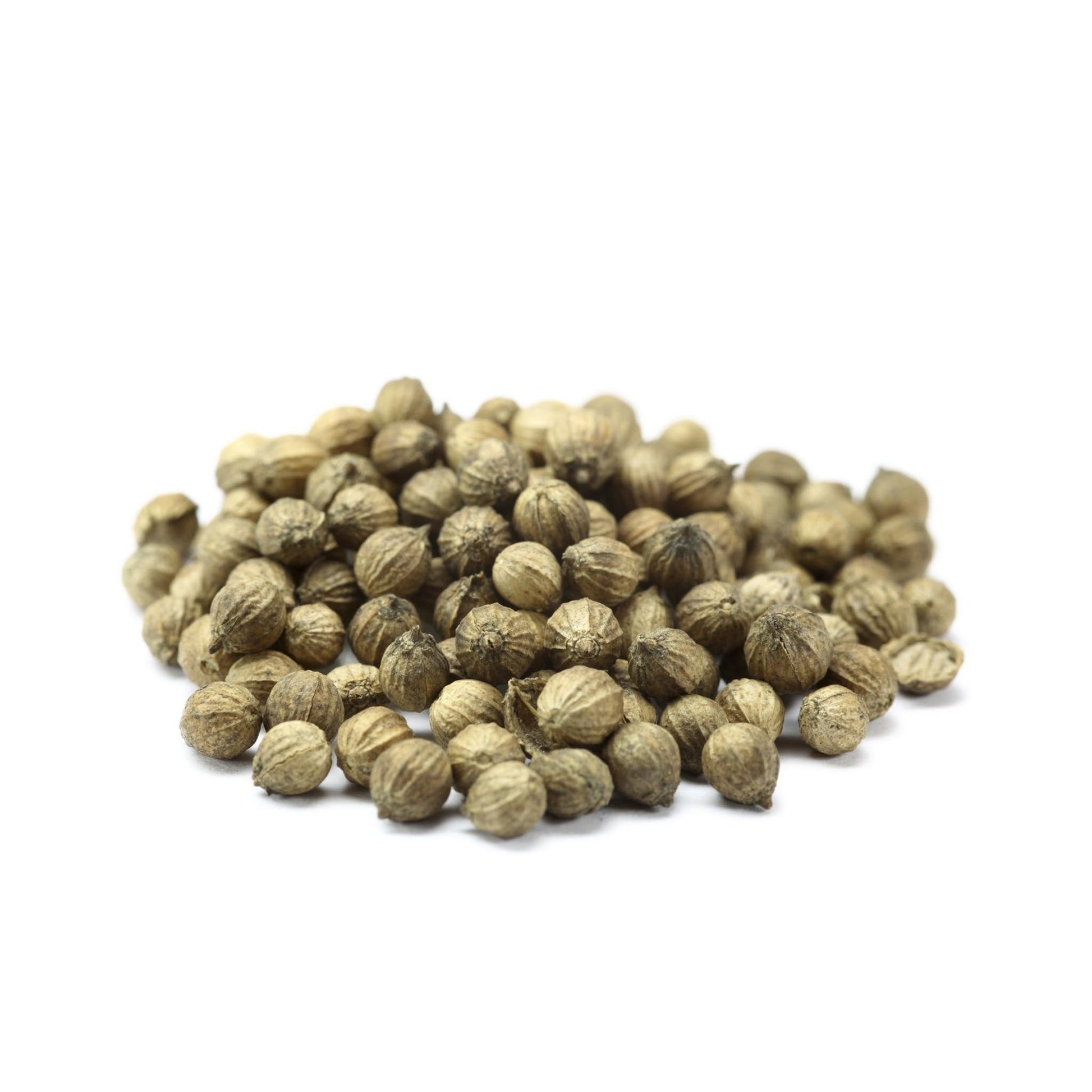 bulk coriander seeds for planting Bulk Whole Coriander Seeds