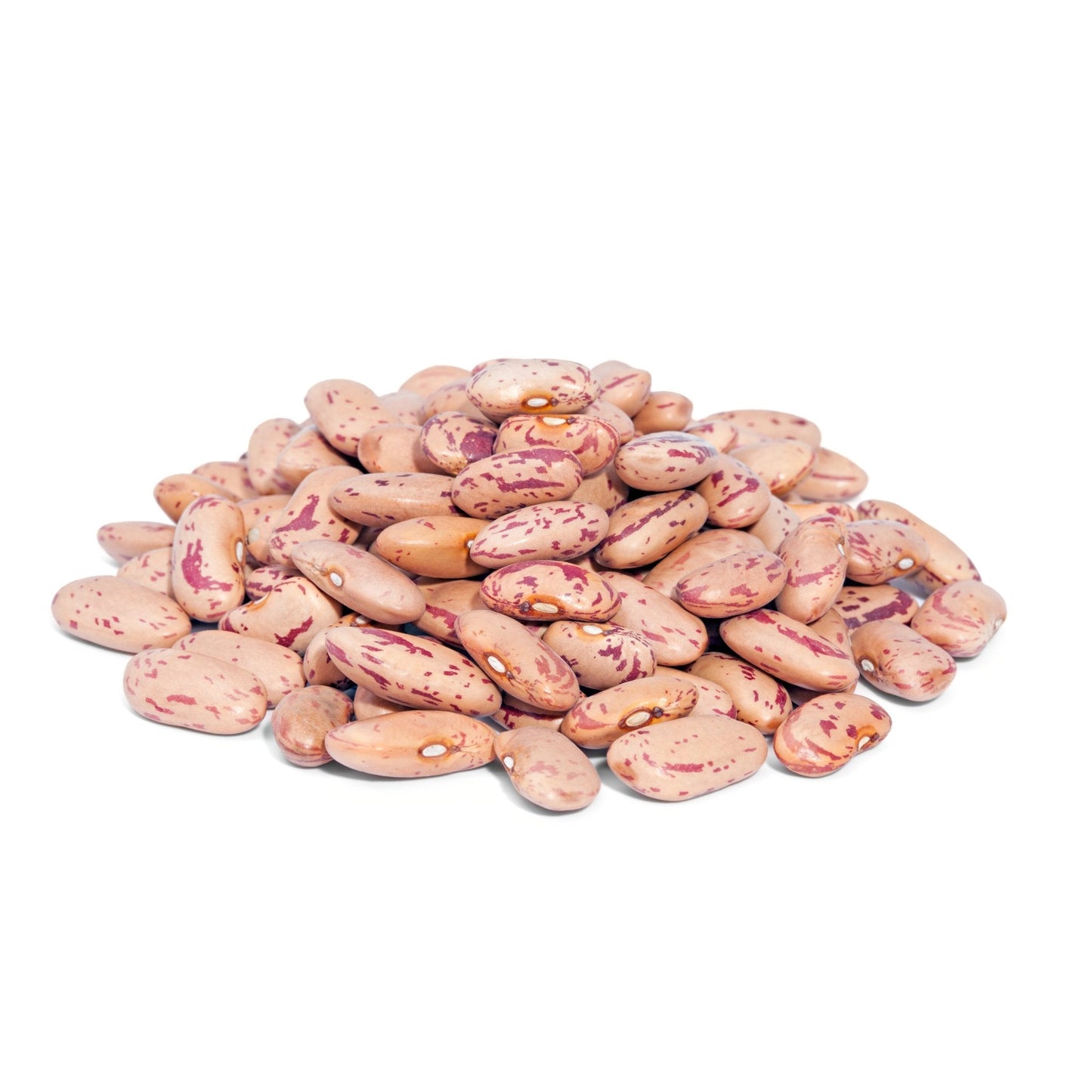 Cranberry Beans 25 lbs SPECIAL ORDER