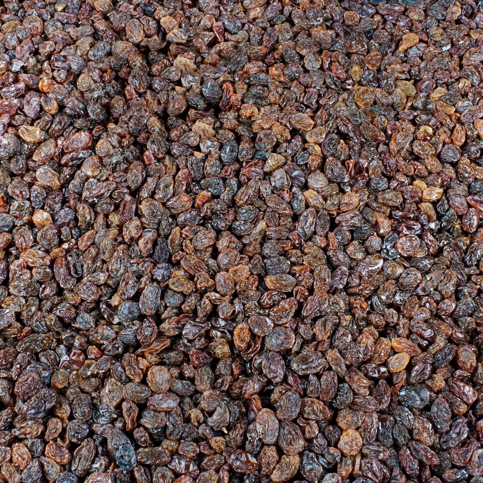 Bulk Select Raisins Imported 32 LB - Wholesale Pricing – Bakers Authority