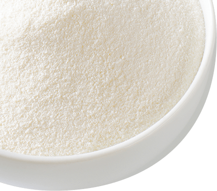 Nonfat Dry Milk Powder