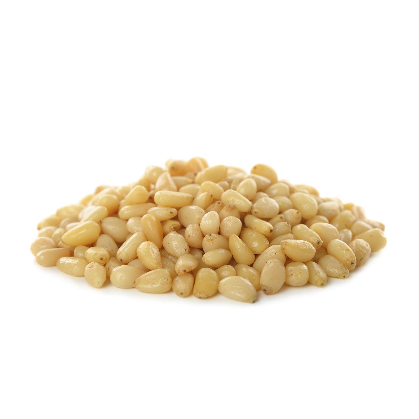 Pine Nuts - Pignolis (Spanish)